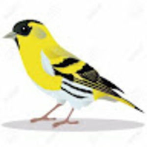 Meet your Posher, Sabrina